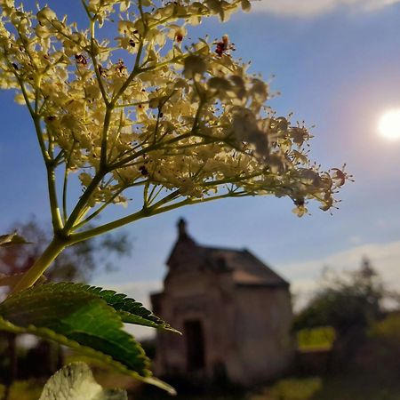 La Galuche Bed & Breakfast Angliers  Екстериор снимка