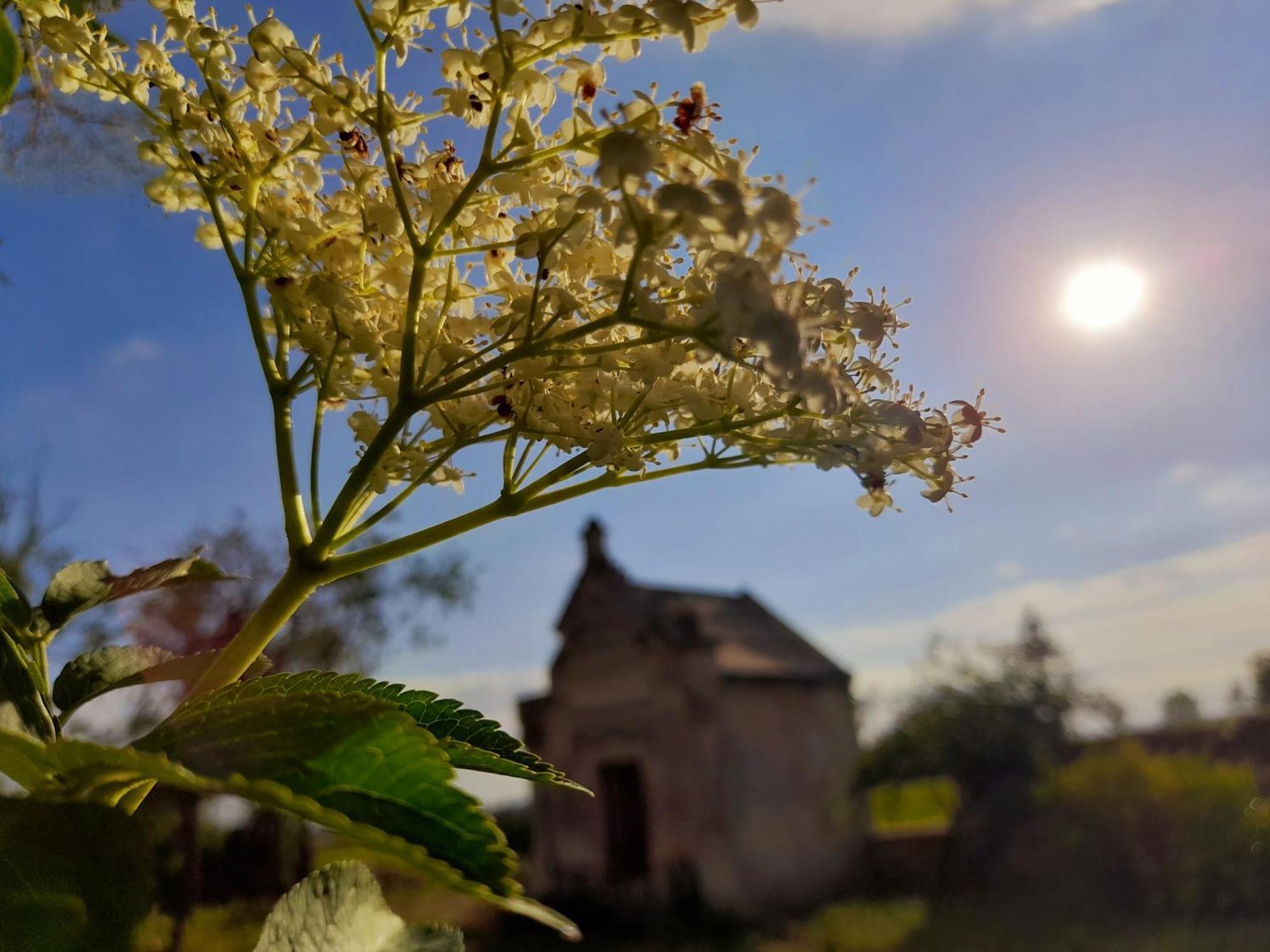 La Galuche Bed & Breakfast Angliers  Екстериор снимка